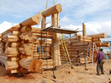 Выбираем материал для строительства дома из дерева